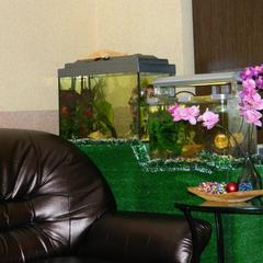 Мини-отель Уют, Химки, Московская область