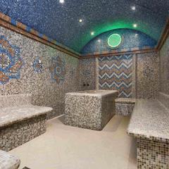 Отель Novotel Москва Аэропорт Шереметьево, Химки, Московская область