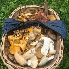 База отдыха Кишкет, Республика Карачаево-Черкесия 