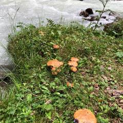 База отдыха Кишкет, Республика Карачаево-Черкесия 