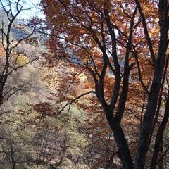 База отдыха Кишкет, Республика Карачаево-Черкесия 