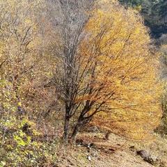 База отдыха Кишкет, Республика Карачаево-Черкесия 