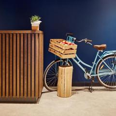 Отель Парк Инн от Рэдиссон Аэропорт Шереметьево, Химки, Московская область