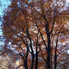 База отдыха Кишкет, Республика Карачаево-Черкесия 