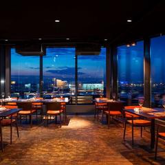 Отель Рэдиссон Блу Шереметьево Аэропорт Москва, Химки, Московская область