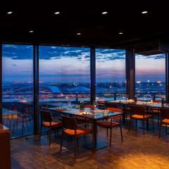 Отель Рэдиссон Блу Шереметьево Аэропорт Москва, Химки, Московская область