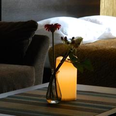 Мини-отель Уют, Химки, Московская область