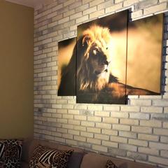 Мини-гостиница Прогресс, Химки, Московская область