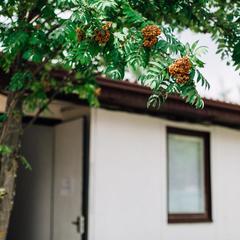 Хостел Russian Sky, Химки, Московская область