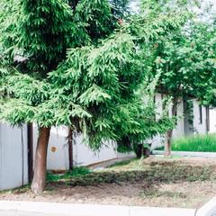 Хостел Russian Sky, Химки, Московская область