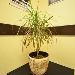 Хостел Товарищ, Химки, Московская область