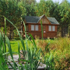 База отдыха Царицына Слободка, Холмечь, Брянская область