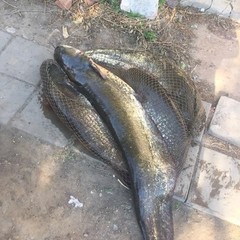 Гостевой дом Дом рыбака и охотника, Хмелевка, Астраханская область