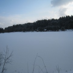 База отдыха Царицына Слободка, Холмечь, Брянская область
