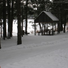 База отдыха Царицына Слободка, Холмечь, Брянская область