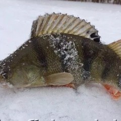 Гостевой дом Дом рыбака и охотника, Хмелевка, Астраханская область