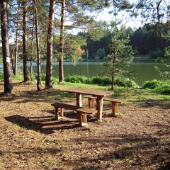 База отдыха Царицына Слободка, Холмечь, Брянская область