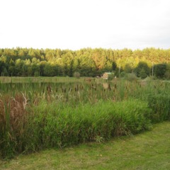 База отдыха Царицына Слободка, Холмечь, Брянская область