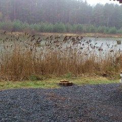 База отдыха Царицына Слободка, Холмечь, Брянская область