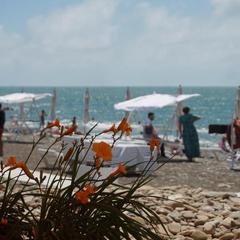 Гостевой дом-музей Лотос, Хоста, Краснодарский край