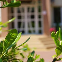 Гостевой дом-музей Лотос, Хоста, Краснодарский край