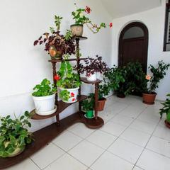 Отель Бриз, Хоста, Краснодарский край