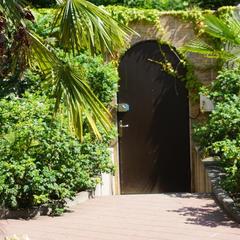 Гостевой дом-музей Лотос, Хоста, Краснодарский край