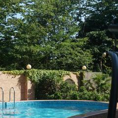 Гостевой дом-музей Лотос, Хоста, Краснодарский край