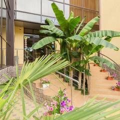Отель Green Hosta, Хоста, Краснодарский край