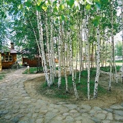 Загородный клуб Гуд лайф, Хороброво (Костромская область), Костромская область