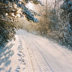 Загородный клуб Гуд лайф, Хороброво (Костромская область), Костромская область