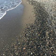 Гостевой дом Торнау, Хоста, Краснодарский край