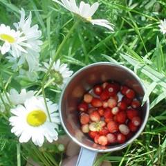 Загородный клуб Гуд лайф, Хороброво (Костромская область), Костромская область