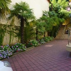 Гостевой дом-музей Лотос, Хоста, Краснодарский край