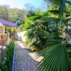 Гостевой дом-музей Лотос, Хоста, Краснодарский край