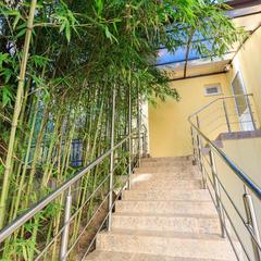 Гостевой дом-музей Лотос, Хоста, Краснодарский край