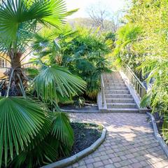 Гостевой дом-музей Лотос, Хоста, Краснодарский край