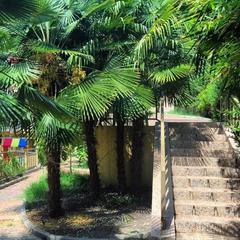 Гостевой дом-музей Лотос, Хоста, Краснодарский край