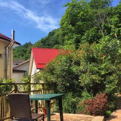 Гостевой дом-музей Лотос, Хоста, Краснодарский край