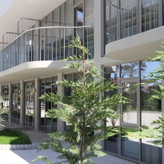 Отель Хоста, Хоста, Краснодарский край