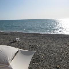 Гостевой дом Экодом Алиса, Хоста, Краснодарский край