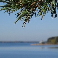 База отдыха Чайка, Хотошино, Тверская область