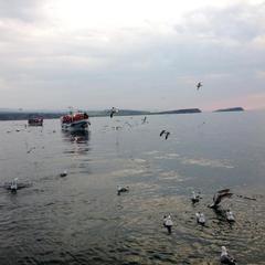 Отель Baikal View Hotel, Хужир, Иркутская область