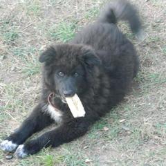 Гостевой дом Воскресение, Хужир, Иркутская область