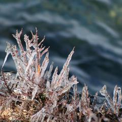Гостевой дом Филоксения, Хужир, Иркутская область