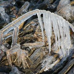 Гостевой дом Филоксения, Хужир, Иркутская область