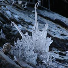 Гостевой дом Филоксения, Хужир, Иркутская область