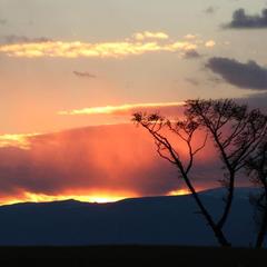 Гостевой дом Филоксения, Хужир, Иркутская область