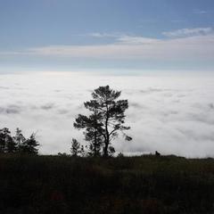 Гостевой дом Филоксения, Хужир, Иркутская область