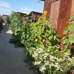 Усадьба Беликовская, Хужир, Иркутская область